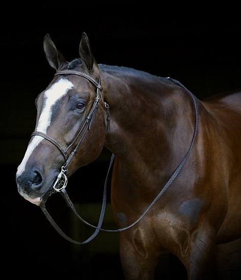 Like An Idol & Tyler Bennett