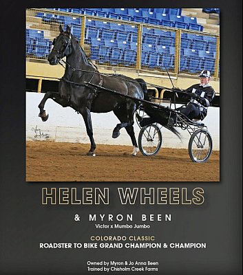 HELEN-WHEELS-CO-CLASSIC.jpg