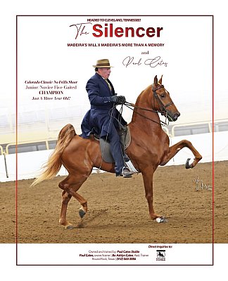 The_Silencer.jpg